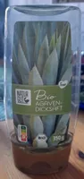 Bio Agavendicksaft
