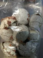 Oeufs de mouettes