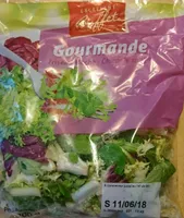 Gourmande Frisée - Mâche - Chicorée rouge
