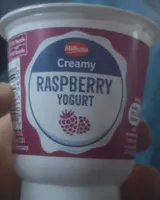 Creamy Rasberry-Yogurt