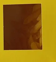 Penne di mais e riso