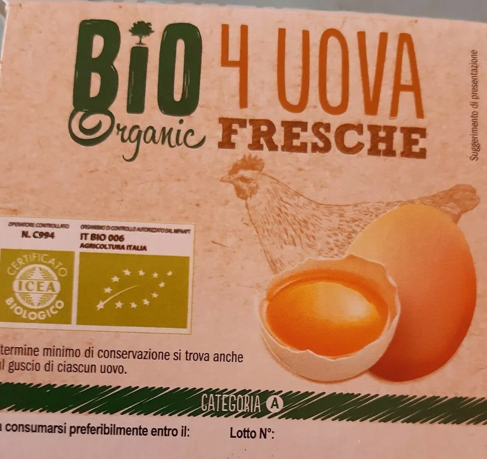 Bio organic 4 uova fresche