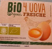 Bio organic 4 uova fresche