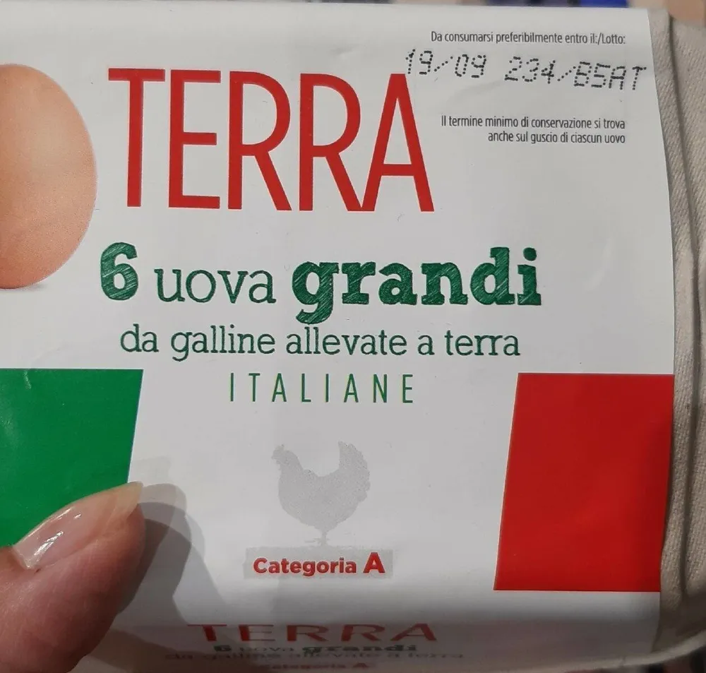 uova grandi allevate a terra