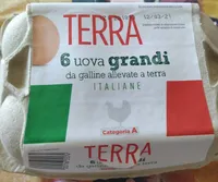 Uova grandi