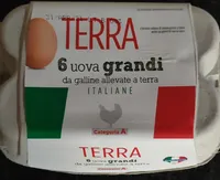 Uova