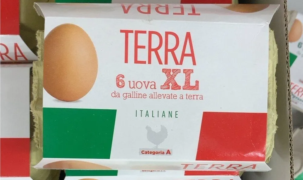 6 uova XL da galline allevate a terra