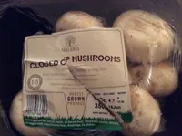 Kulturchampignons