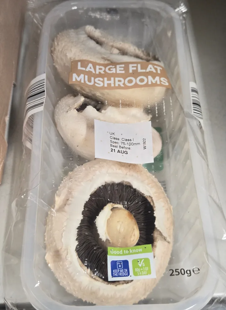 Large Flat Mushrooms