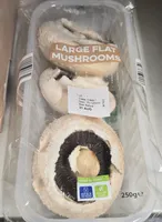 Large Flat Mushrooms
