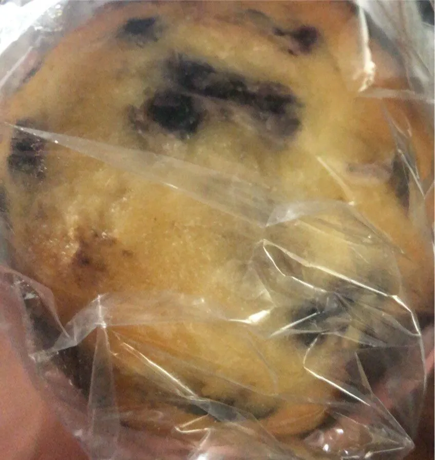 Muffin myrtilles sauvages