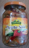 Puszta-Salat