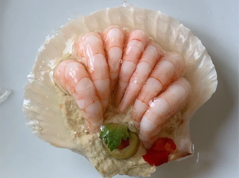 Conchiglia di crostacei
