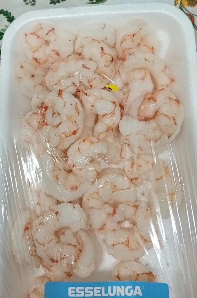 Gambero argentino