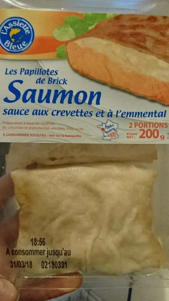 Papillotes de brick de saumon