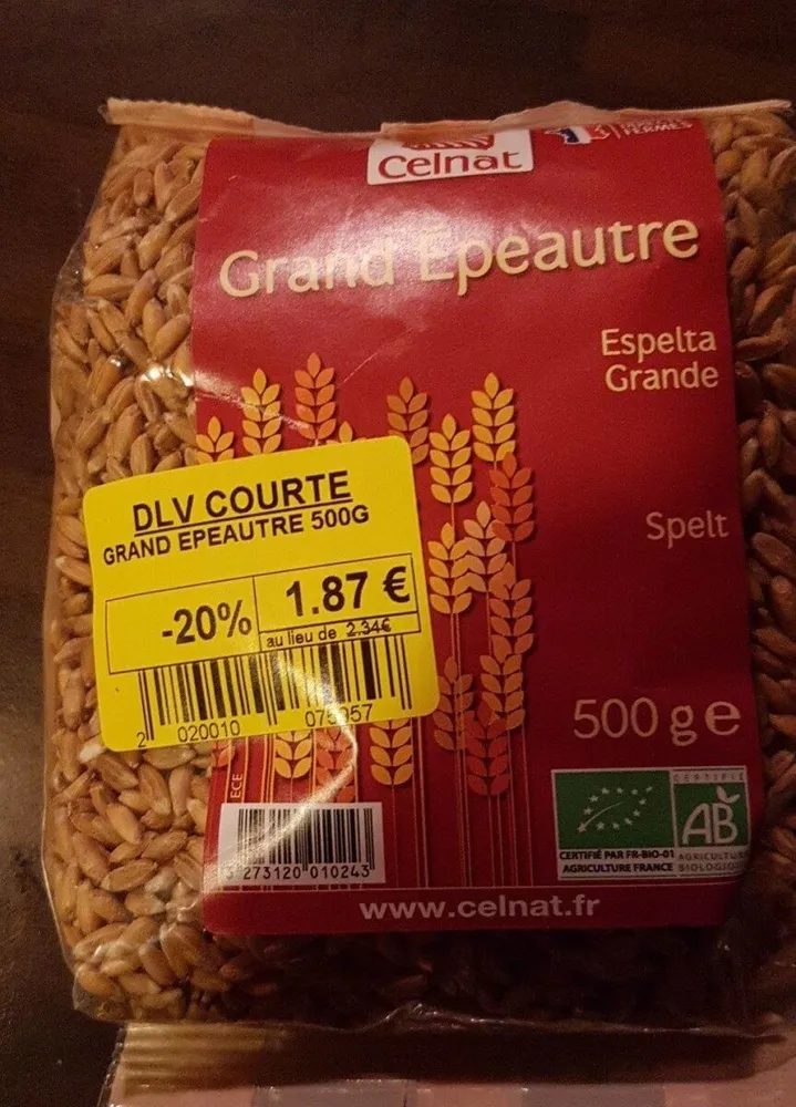 Grand épeautre