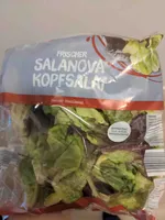 Salanova Kopfsalat (feiner Blattsalat)
