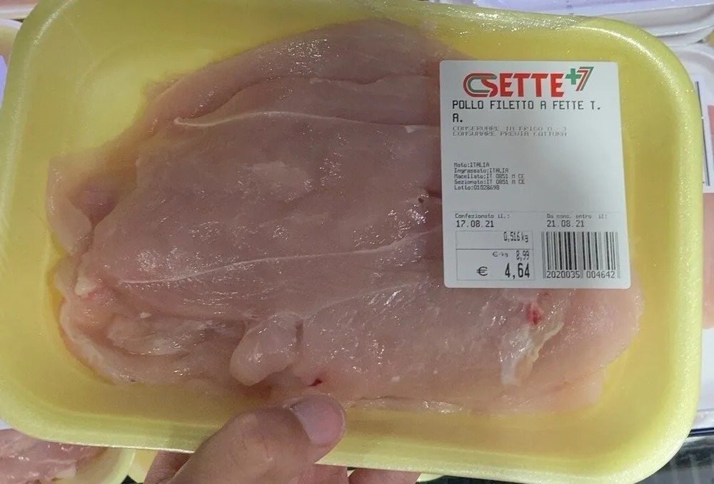 pollo