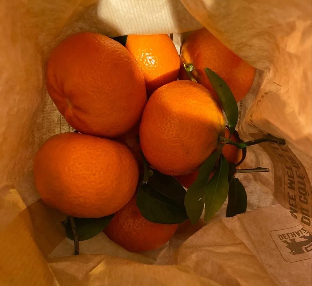 Clementine