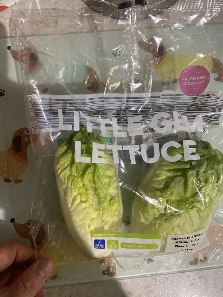 Sucrine Salade croquante