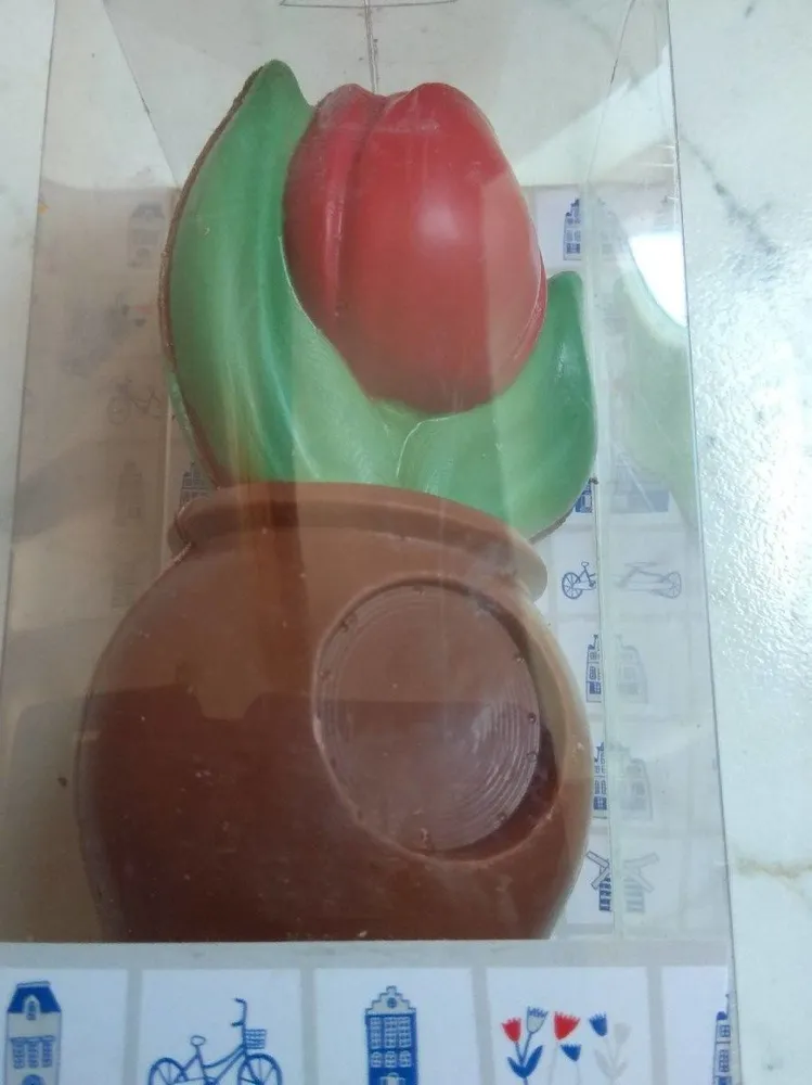 Tulipe Chocolat au Lait