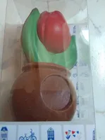 Tulipe Chocolat au Lait