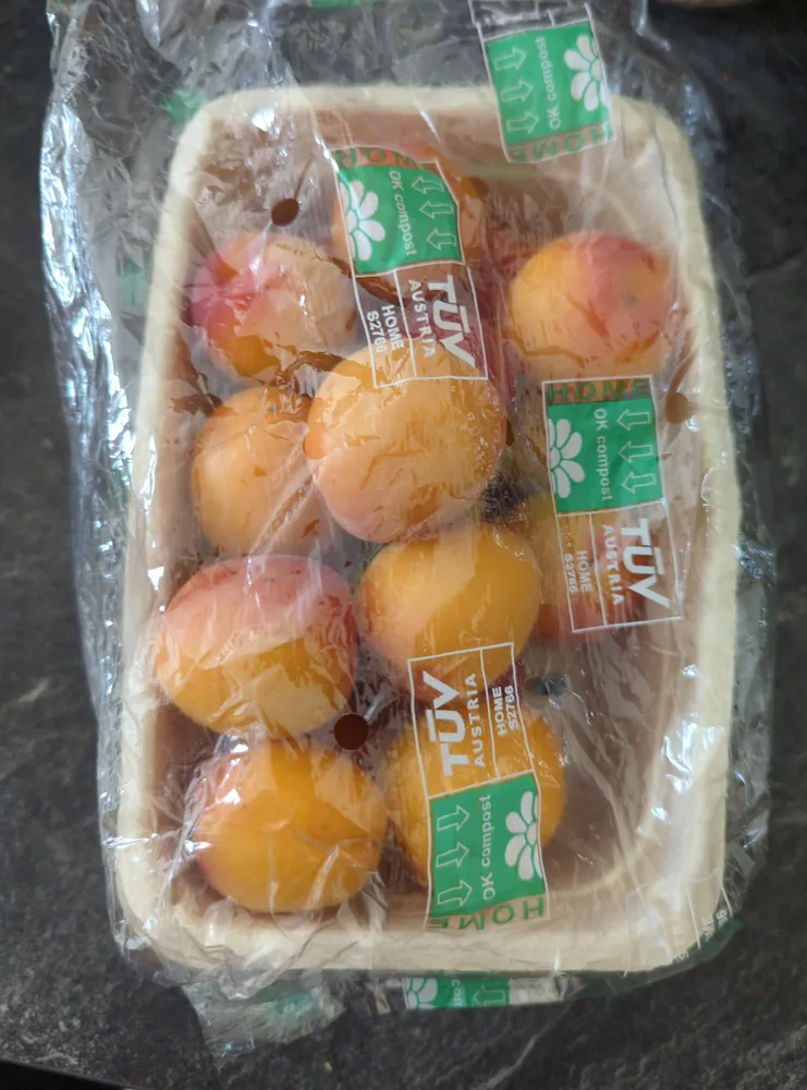 Apricot