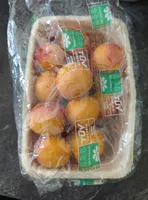 Apricot