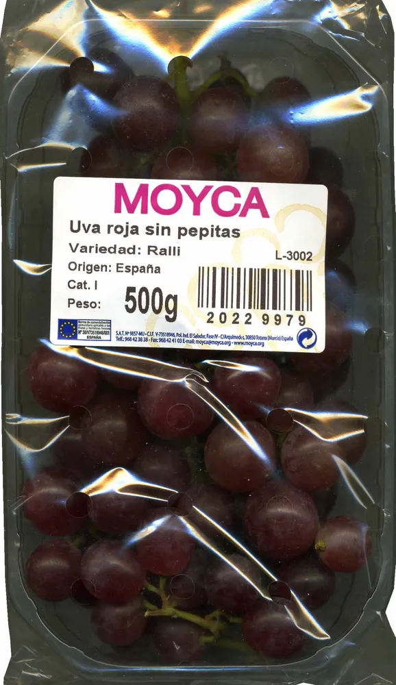 Uva Roja Seedless raisins rouge