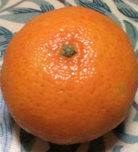 Clementinas