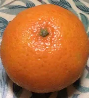 Clementinas