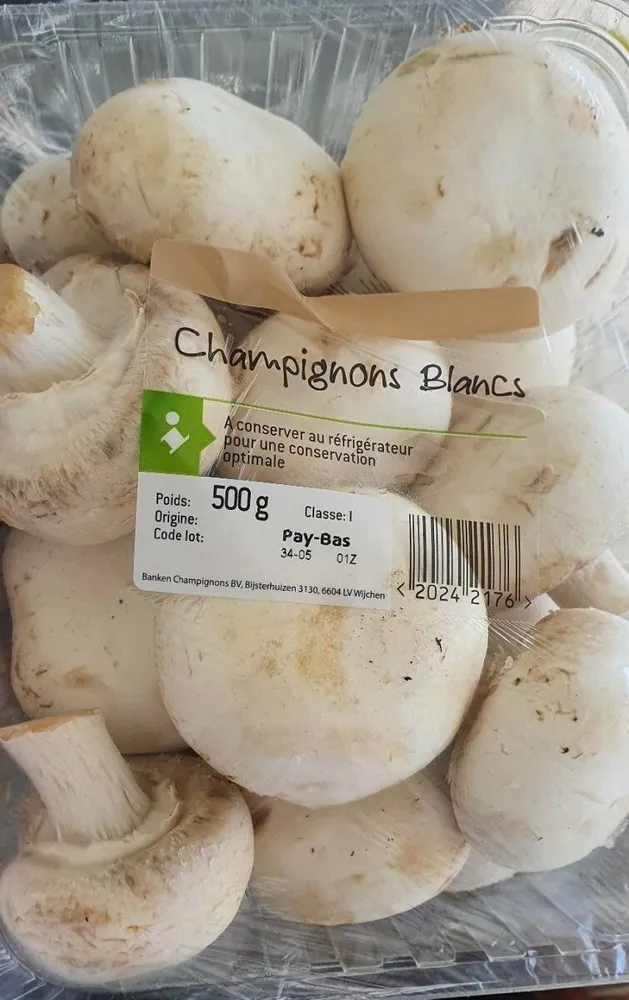 Champignons de Paris Blanc