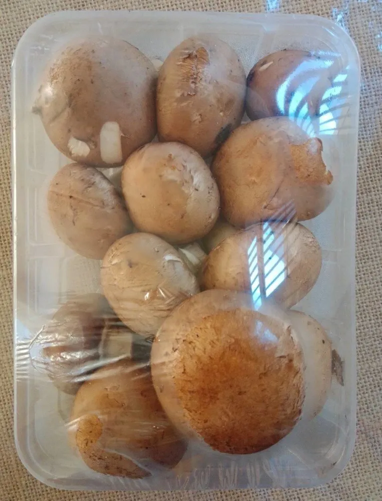Heimat Deutsche Champignons Braun