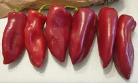 Pimiento italiano rojo