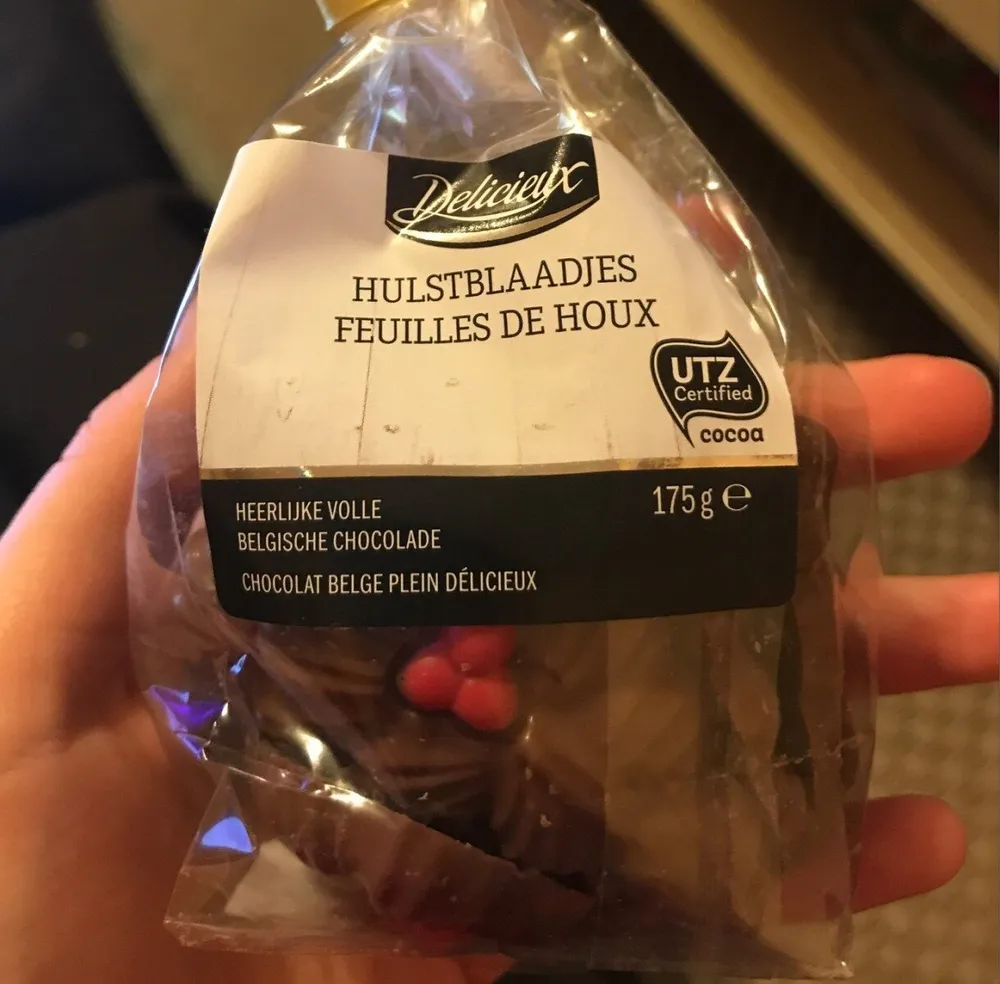 Feuilles de houx