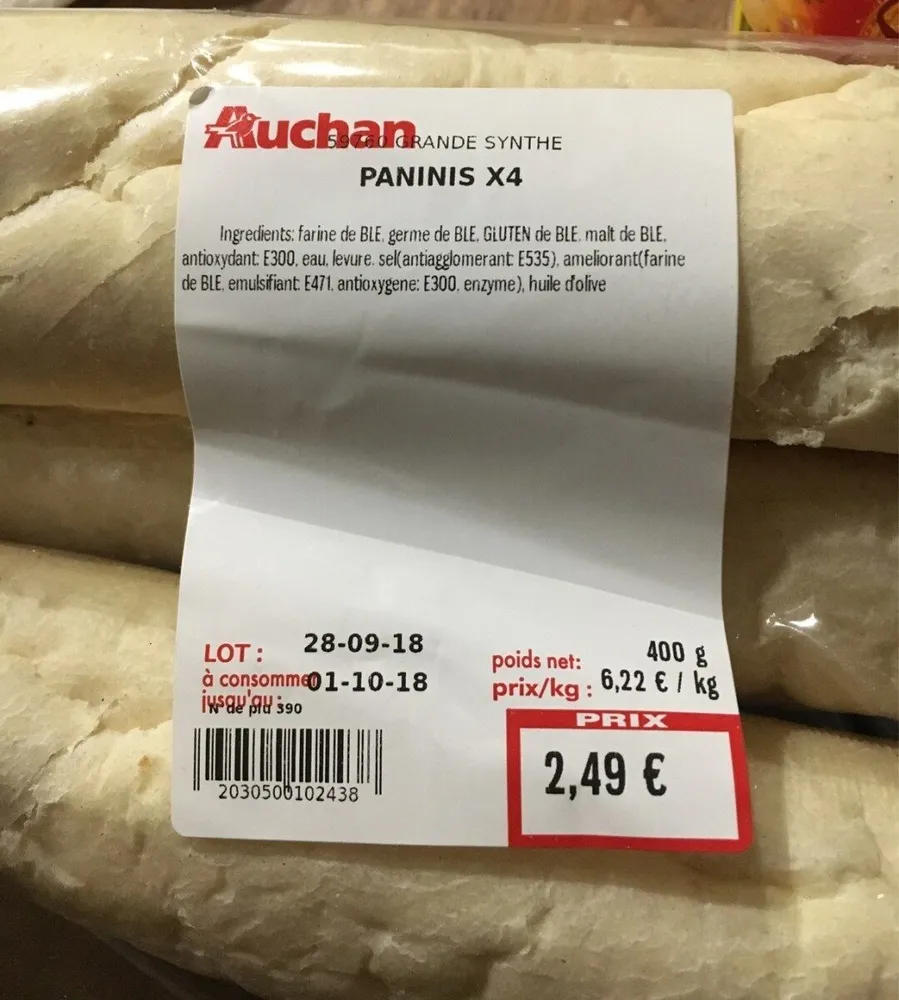 Panini