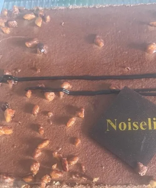 Noiselia