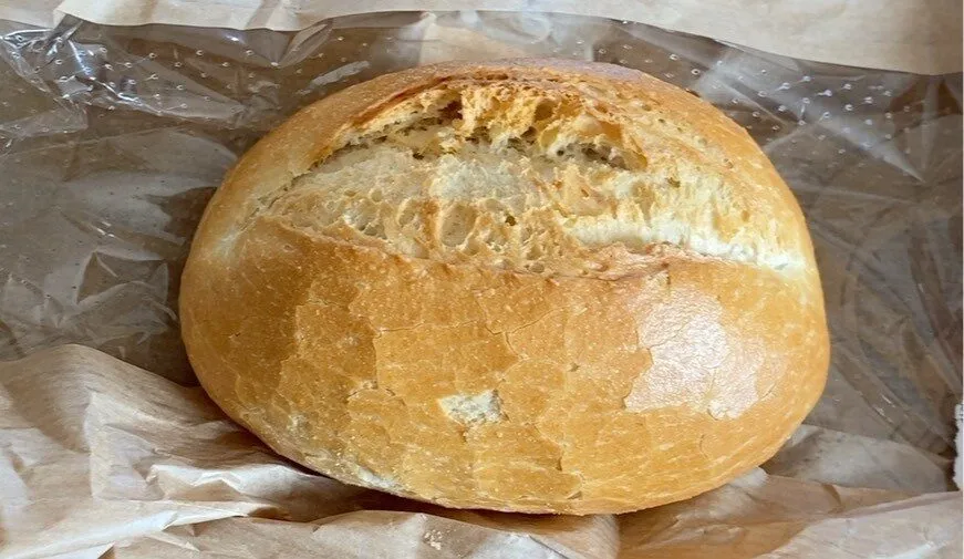 Panino tondo