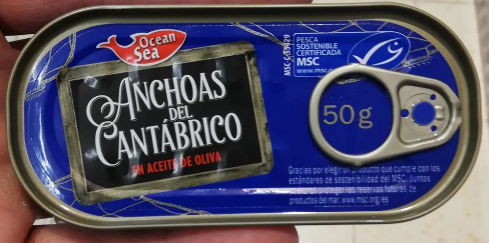 Anchoas del Cantábrico en aceite de oliva