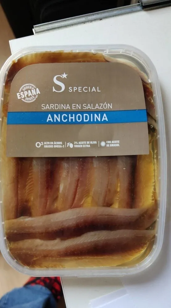 Anchodina