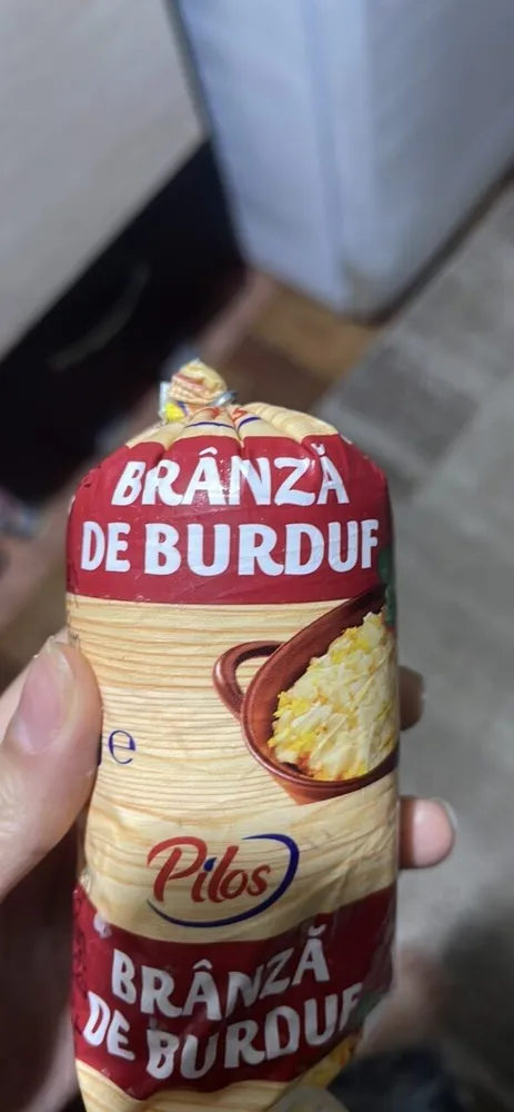BRÂNZĂ DE BURDUF
