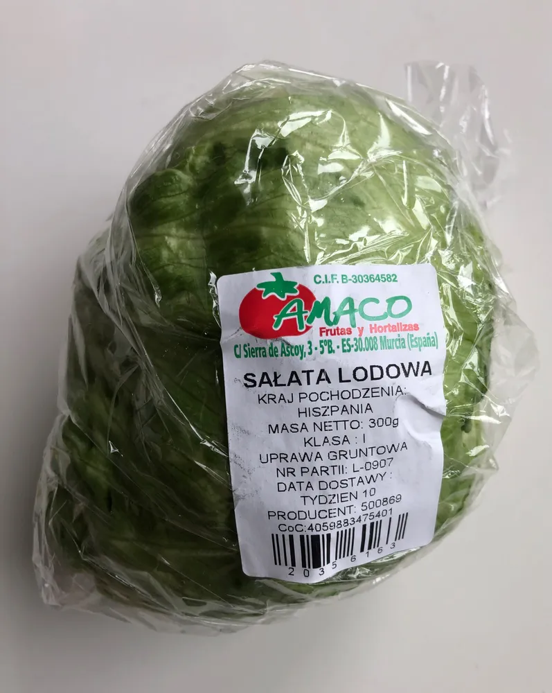 SAŁATA LODOWA