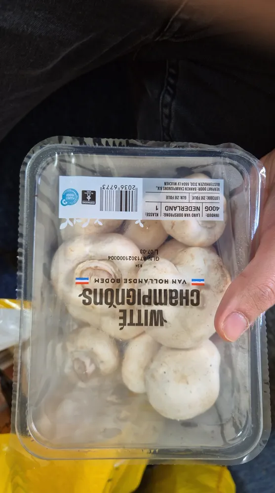 Champignons de Paris Blanc