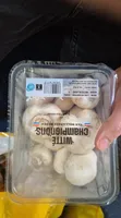 Champignons de Paris Blanc