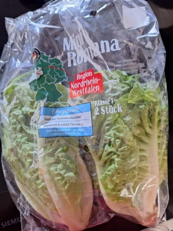ROMAINE HEARTS