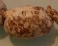 Salame di suino