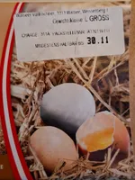 Eier aus Bodenhaltung