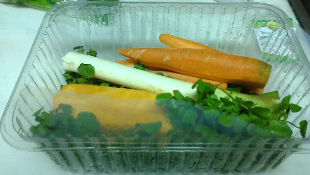 Sopa de agrião