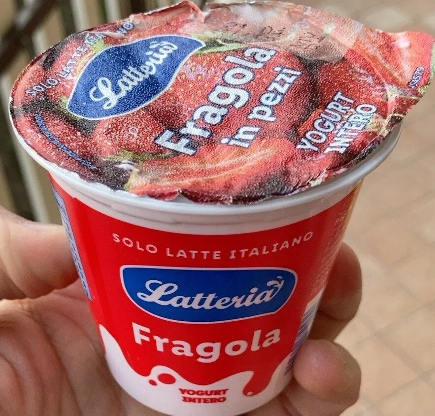 Fragola in pezzi YOGURT INTERO