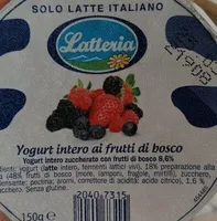 yogurt intero ai frutti di bosco